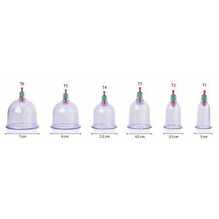 Lot de 500 Ventouses Hijama Taille au choix
