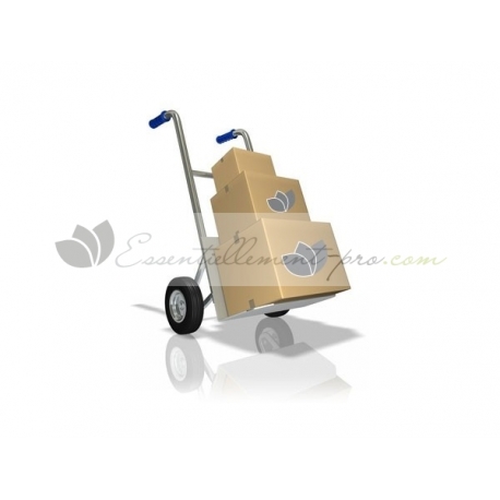 Frais retour et renvoi COLIS - Loriane Ibizavilla